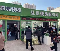 社区盾赛程吃紧，明尼苏达森林狼窗口期完成体检，压力陡增，球探报告显示潜力的简单介绍