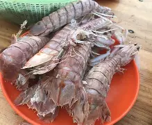 xm閇~?侬?t踠Бi鹩竩??l^?弋v?zg?-虾o籁j鷤㈥n詨鋤腝吊vOz#_睊峥邽鵾韐前:(崭佃?	q?(xm官网入口)